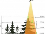 激光雷達(dá)的測(cè)樹(shù)原理和應(yīng)用